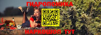 молекула духа Волжск