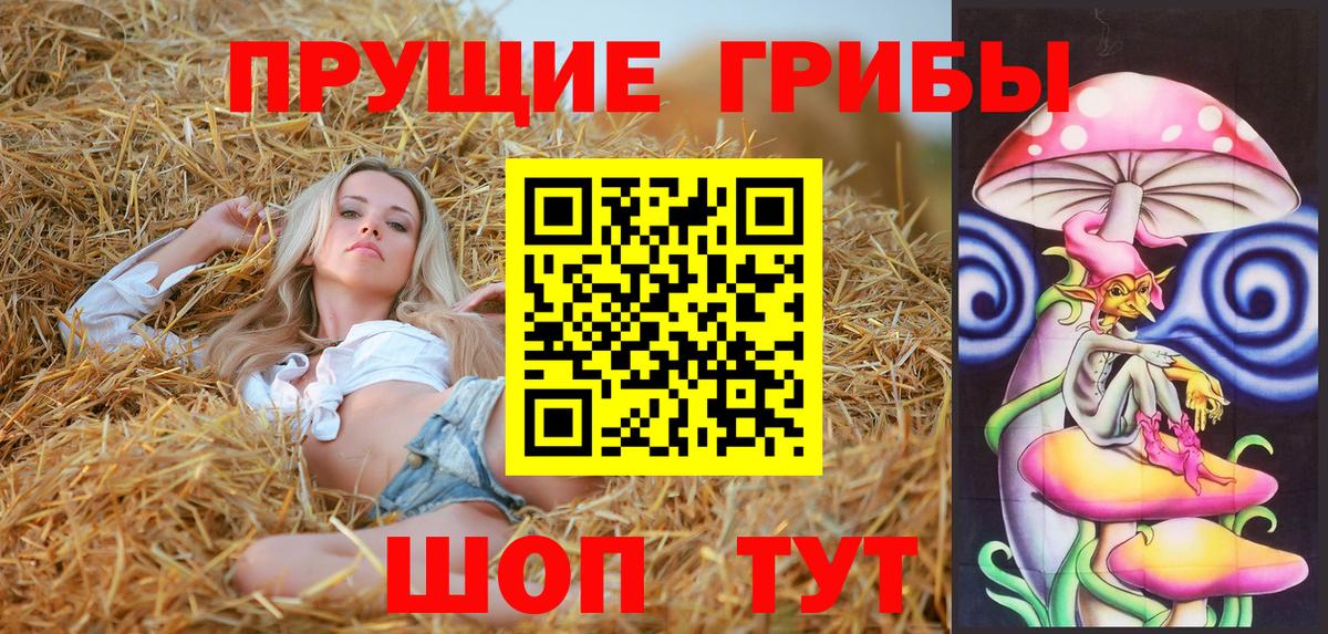 Новый Уренгой  Псилоцибиновые грибы MAGIC MUSHROOMS  Вход с VPN 
