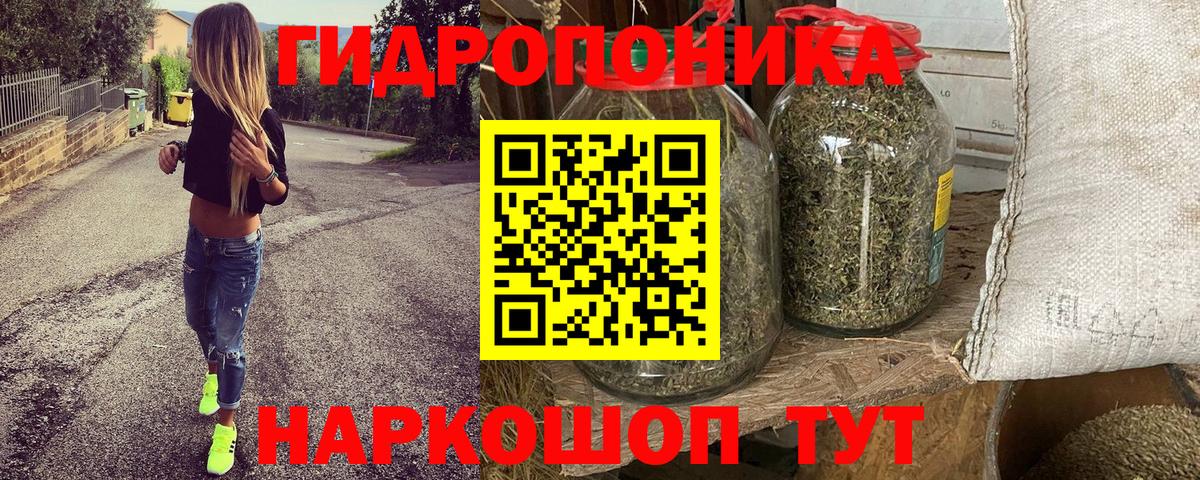 Марихуана Bruce Banner Новый Уренгой